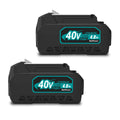 40V Lithium-Ion Battery Pack 2-Pack A348