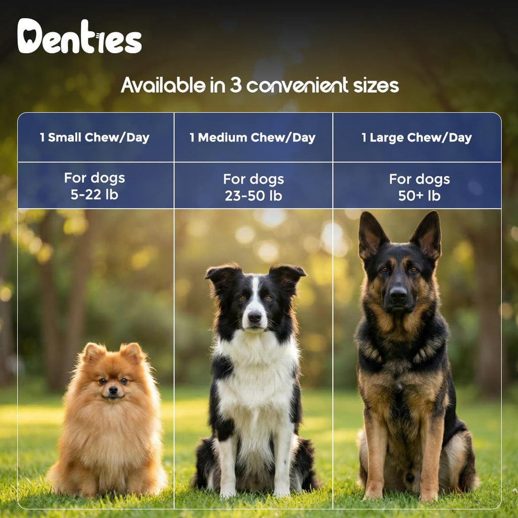 Dental Chews for Dogs 16oz 10 Count P113