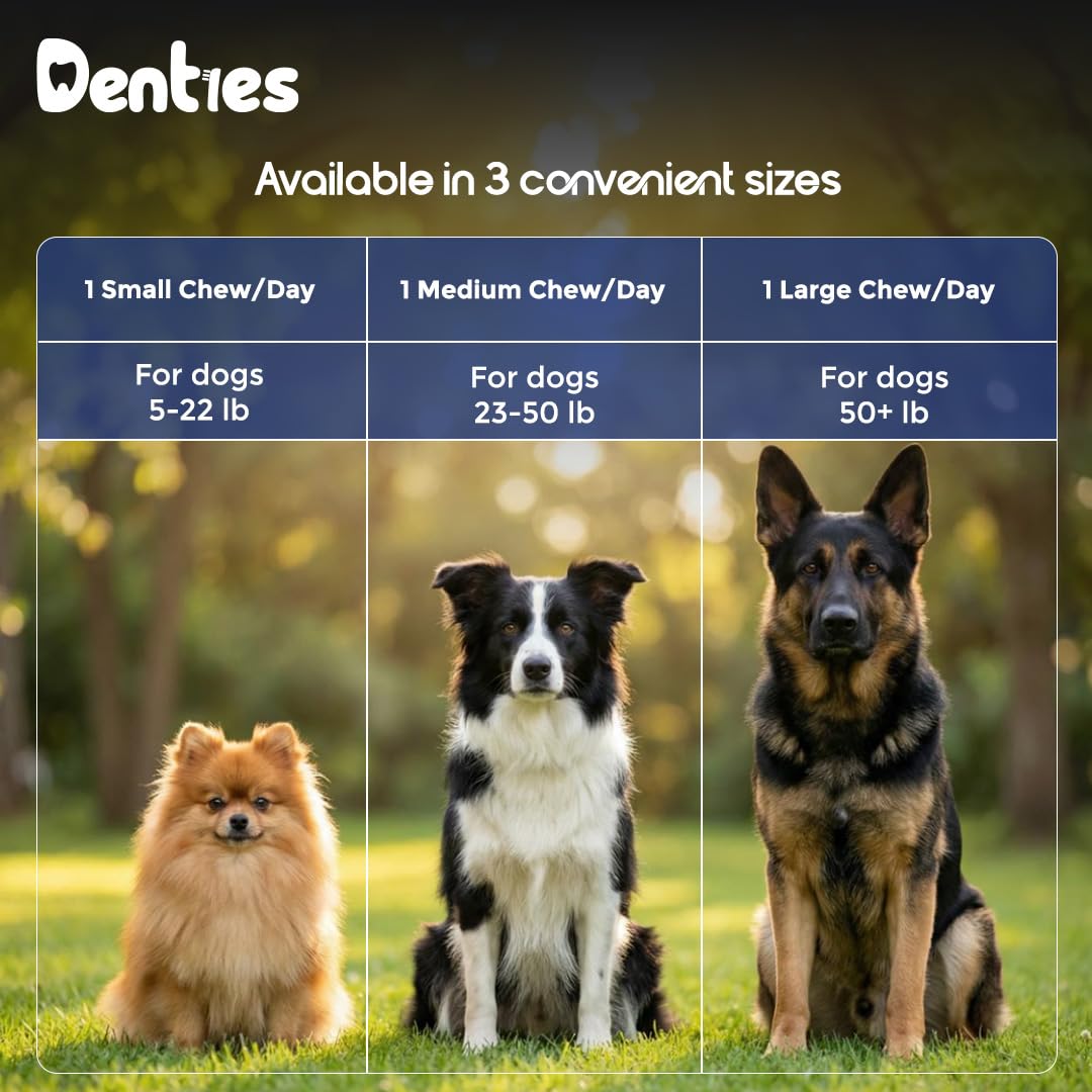 Dental Chews for Dogs 16oz 10 Count P113