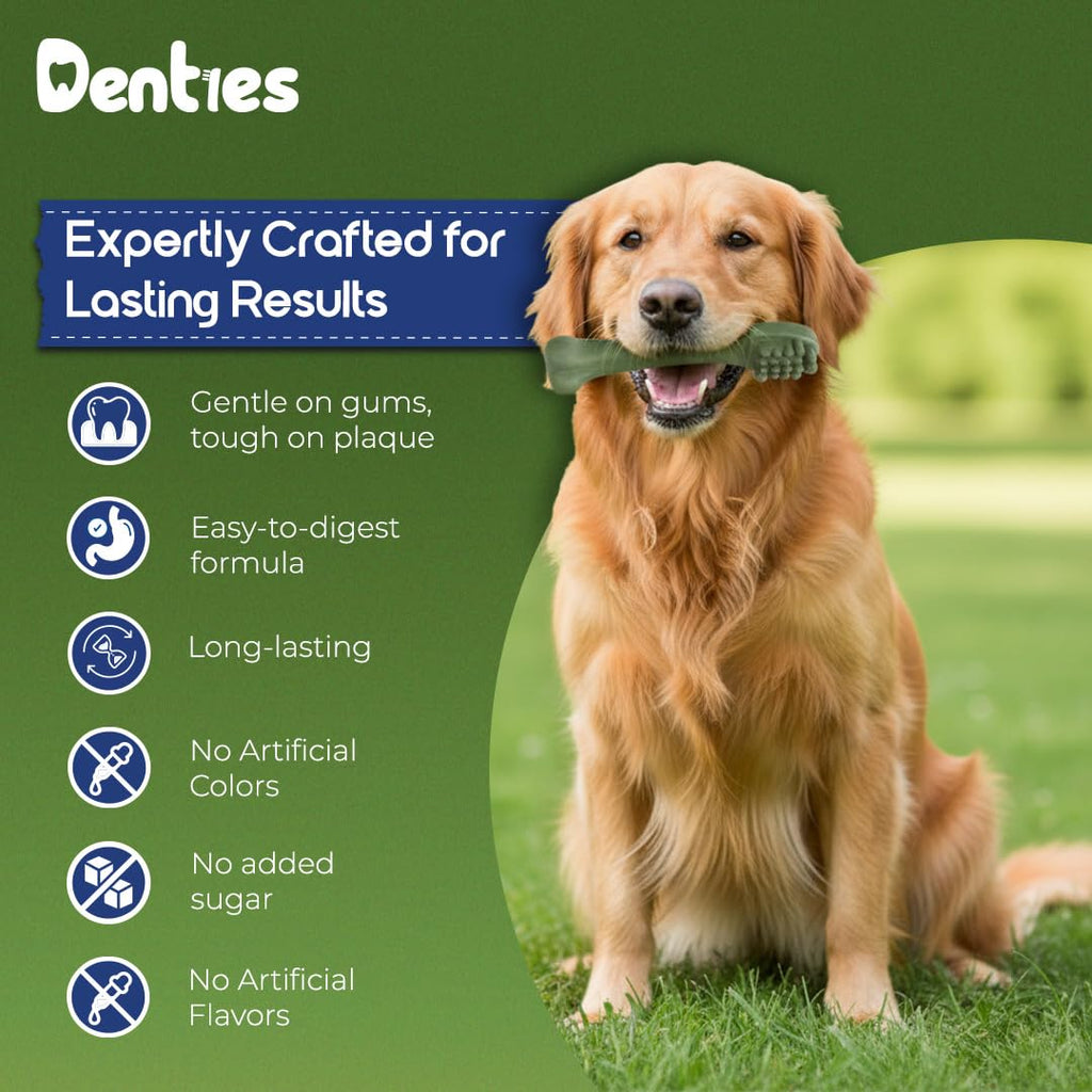 Dental Chews for Dogs 16oz 10 Count P113