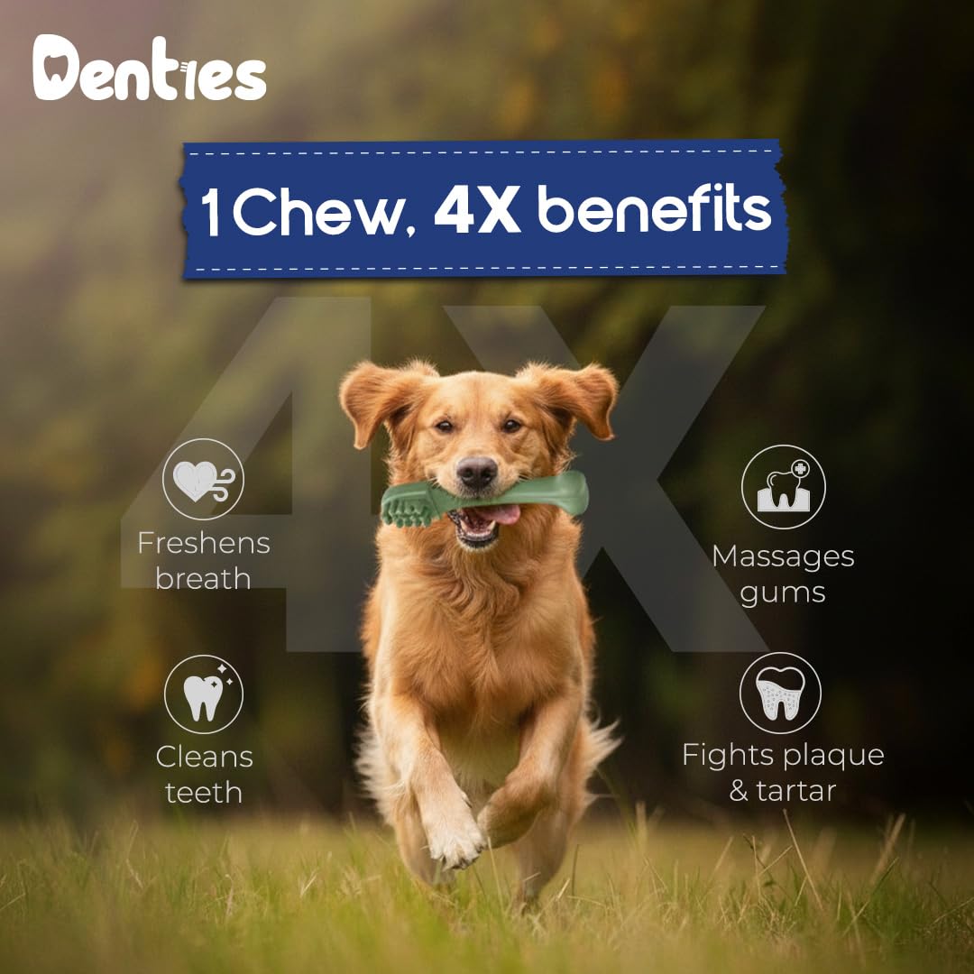 Dental Chews for Dogs 16oz 10 Count P113