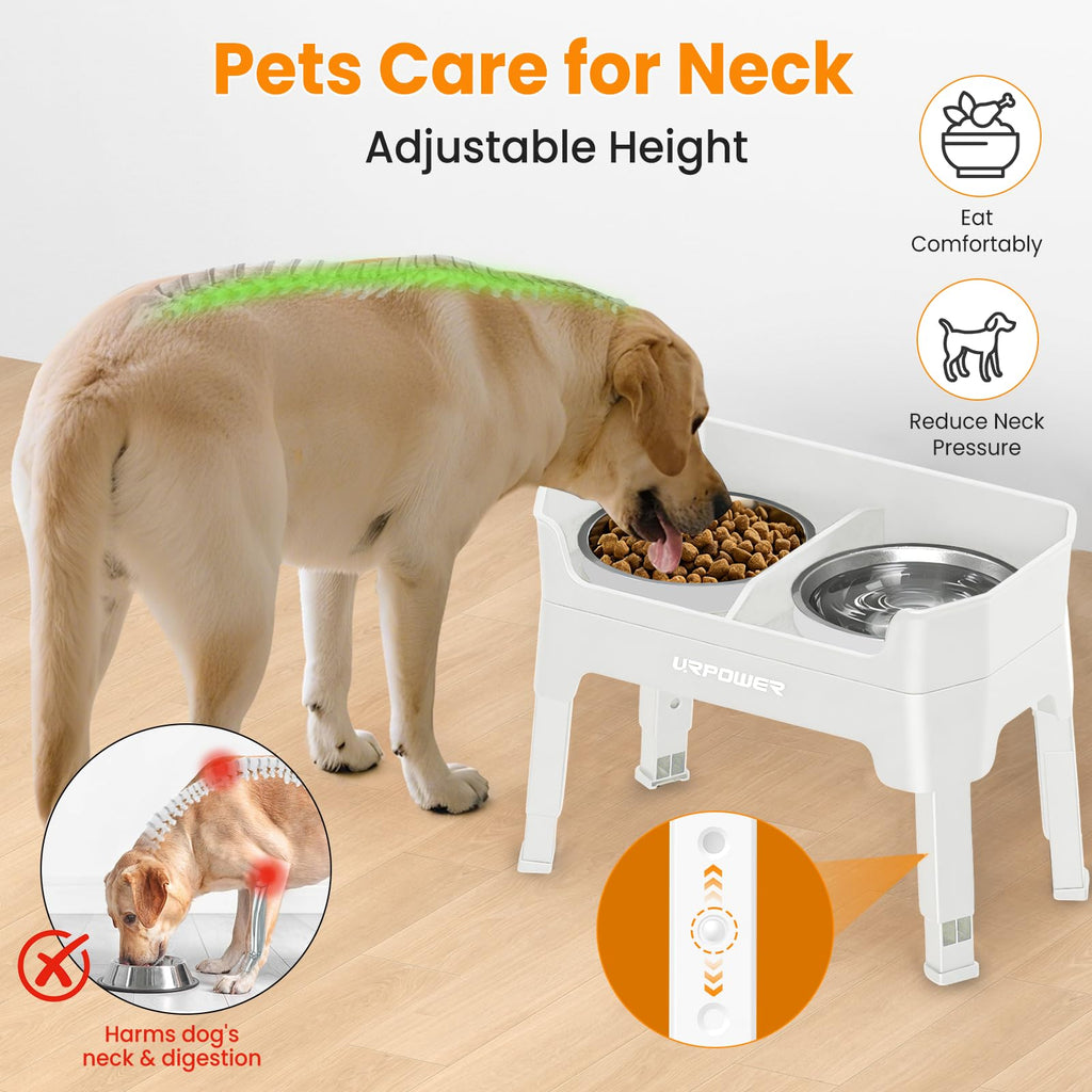 Elevated Dog Bowls L67619