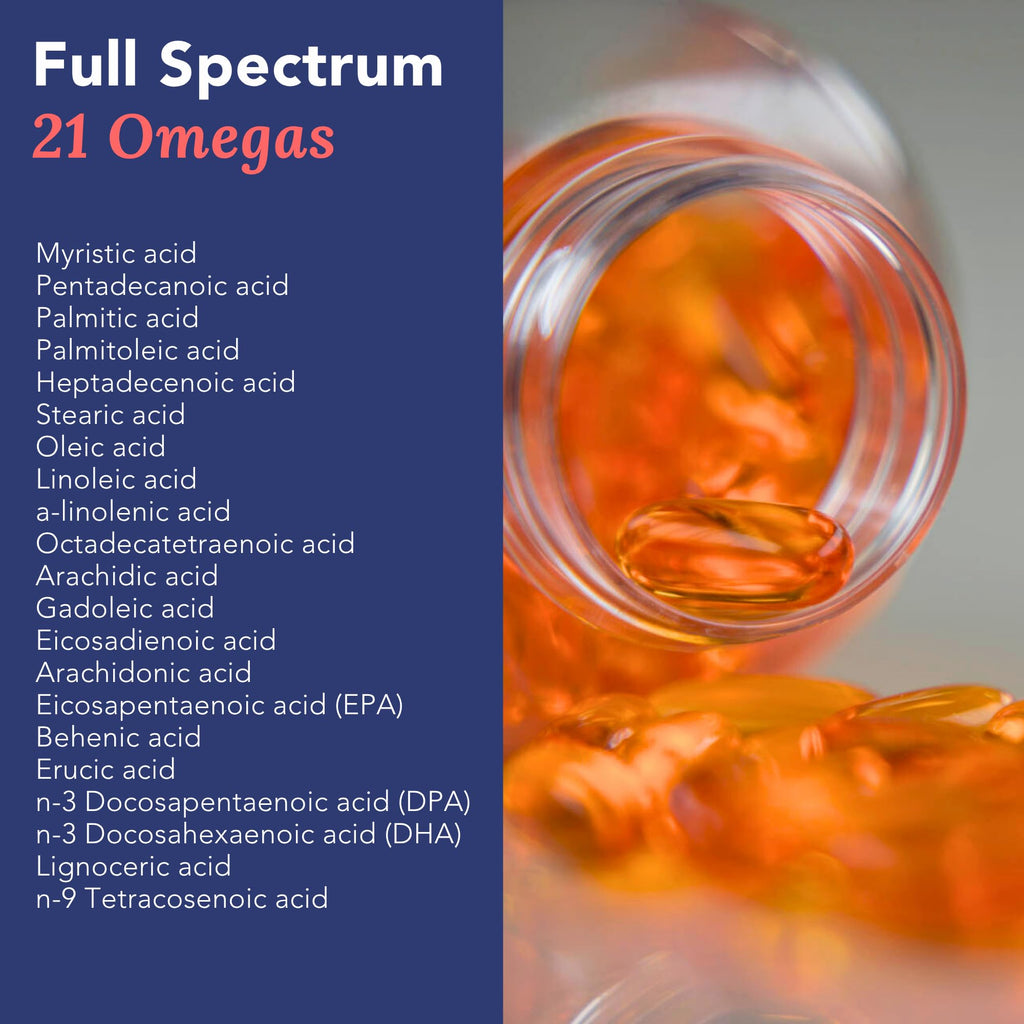 Omega 3 Fish Oil 1000mg 90 Capsules E4417