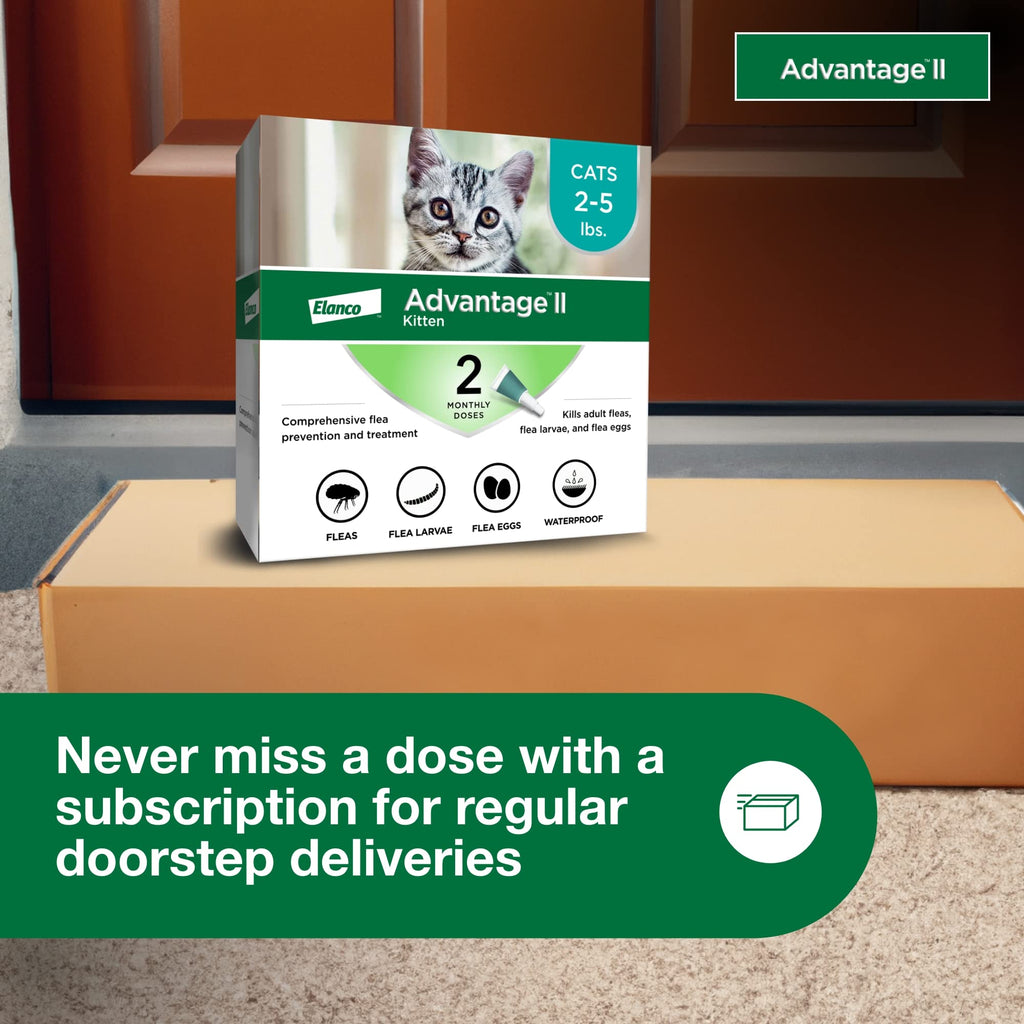 Topical Flea Treatment & Prevention 2ct A7292