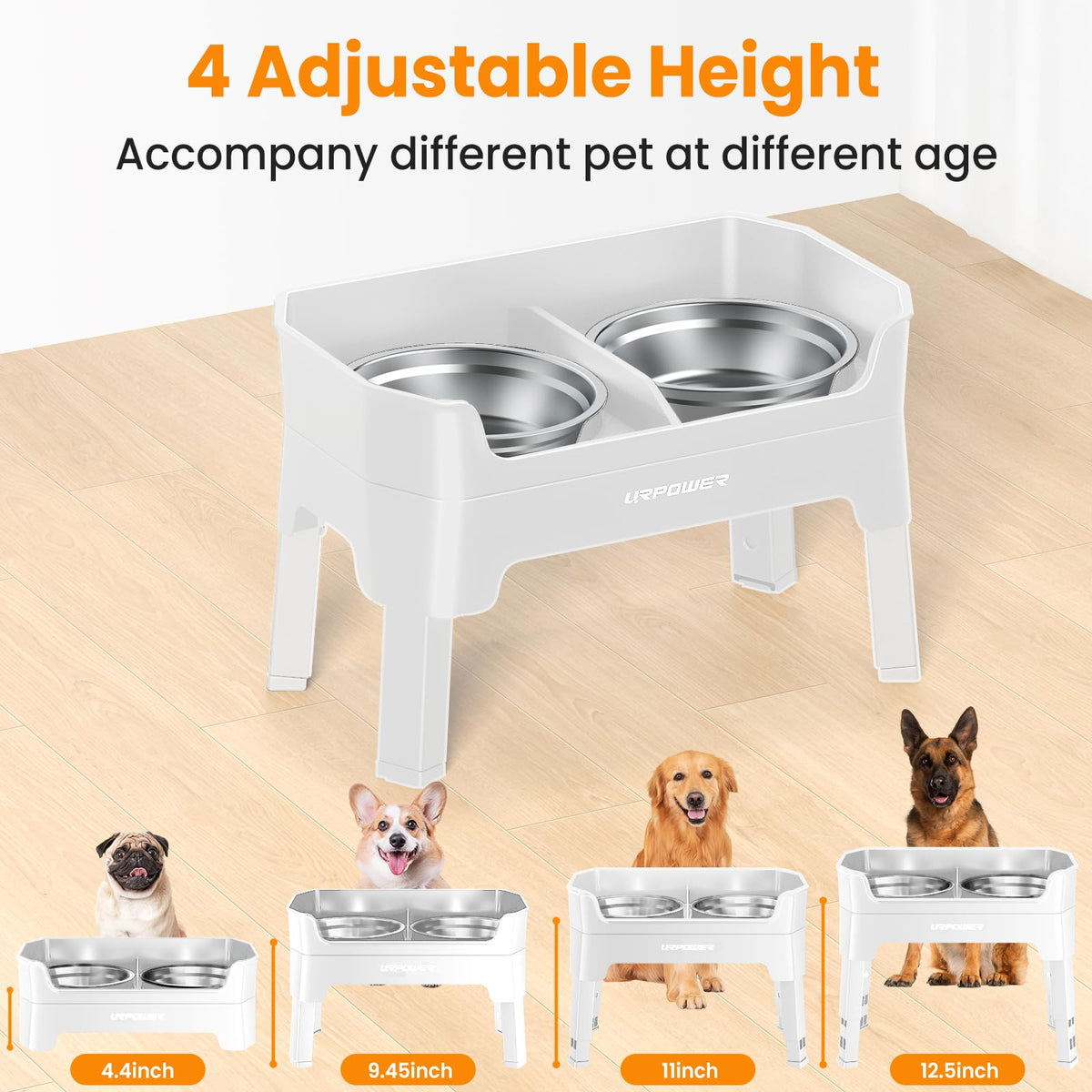 Elevated Dog Bowls L67619