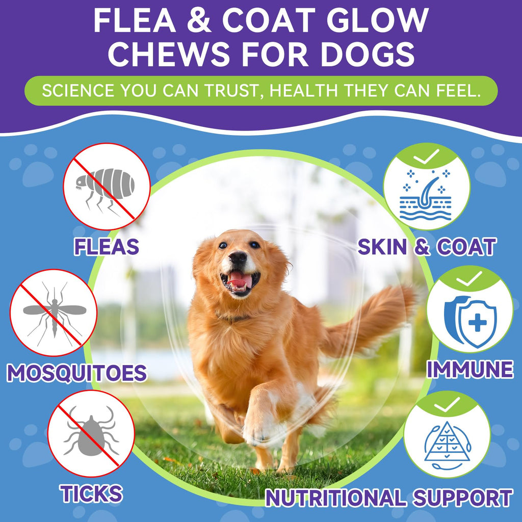 Flea and Tick Prevention for Dogs E1634