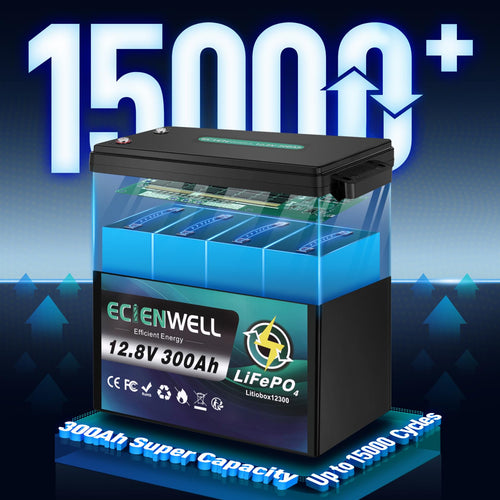 12V 1200Ah Lithium LiFePO4 Battery 4 Pack with 200A BMS E3976
