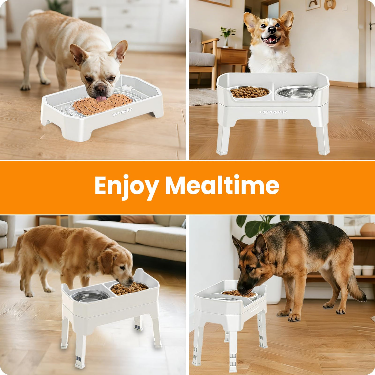 Elevated Dog Bowls L67619
