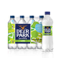 Sparkling Water Zesty Lime 16.9 Fl Oz (Pack of 8) A784