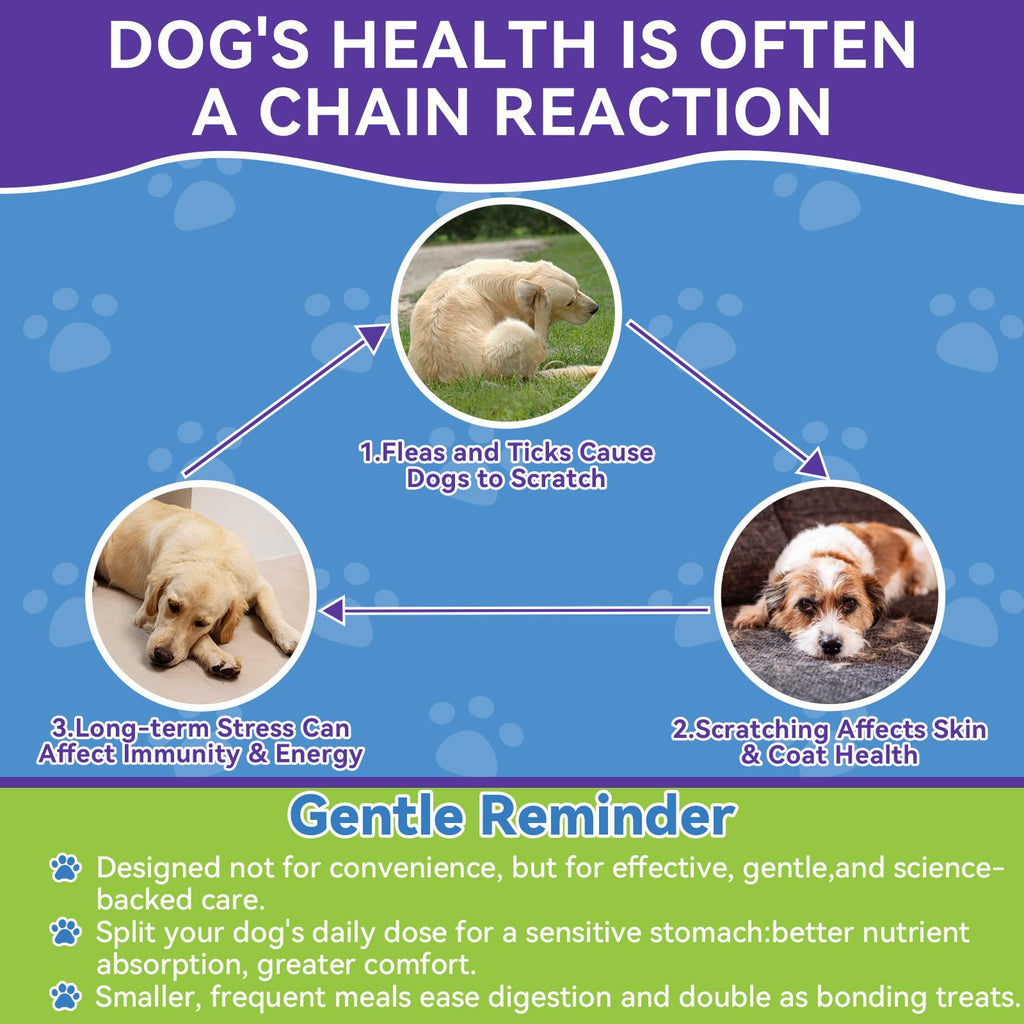 Flea and Tick Prevention for Dogs E1634