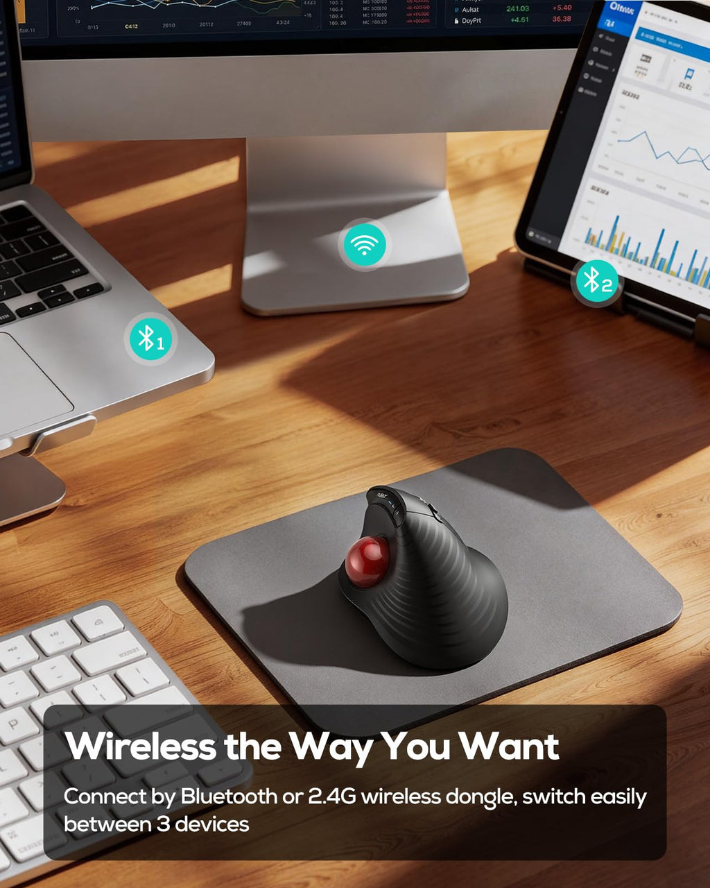 Wireless Ergonomic Vertical Trackball Mouse Z178393