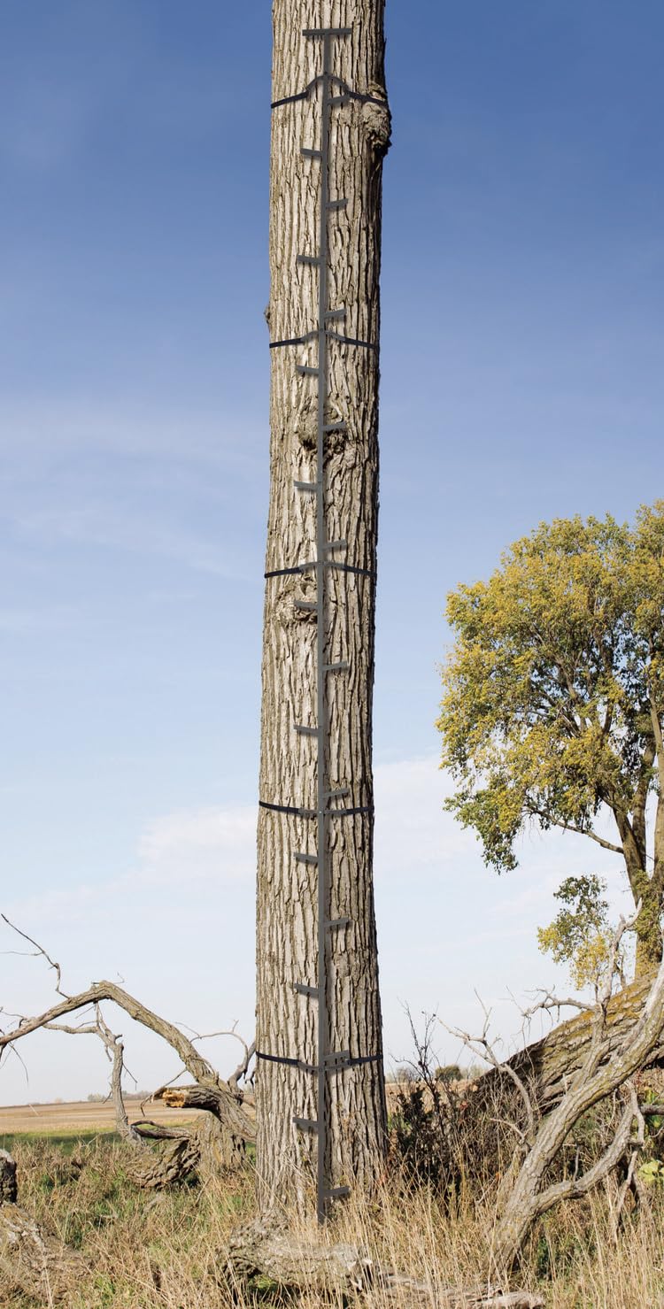 Quick-Stick Climbing System 20ft Reach N9277