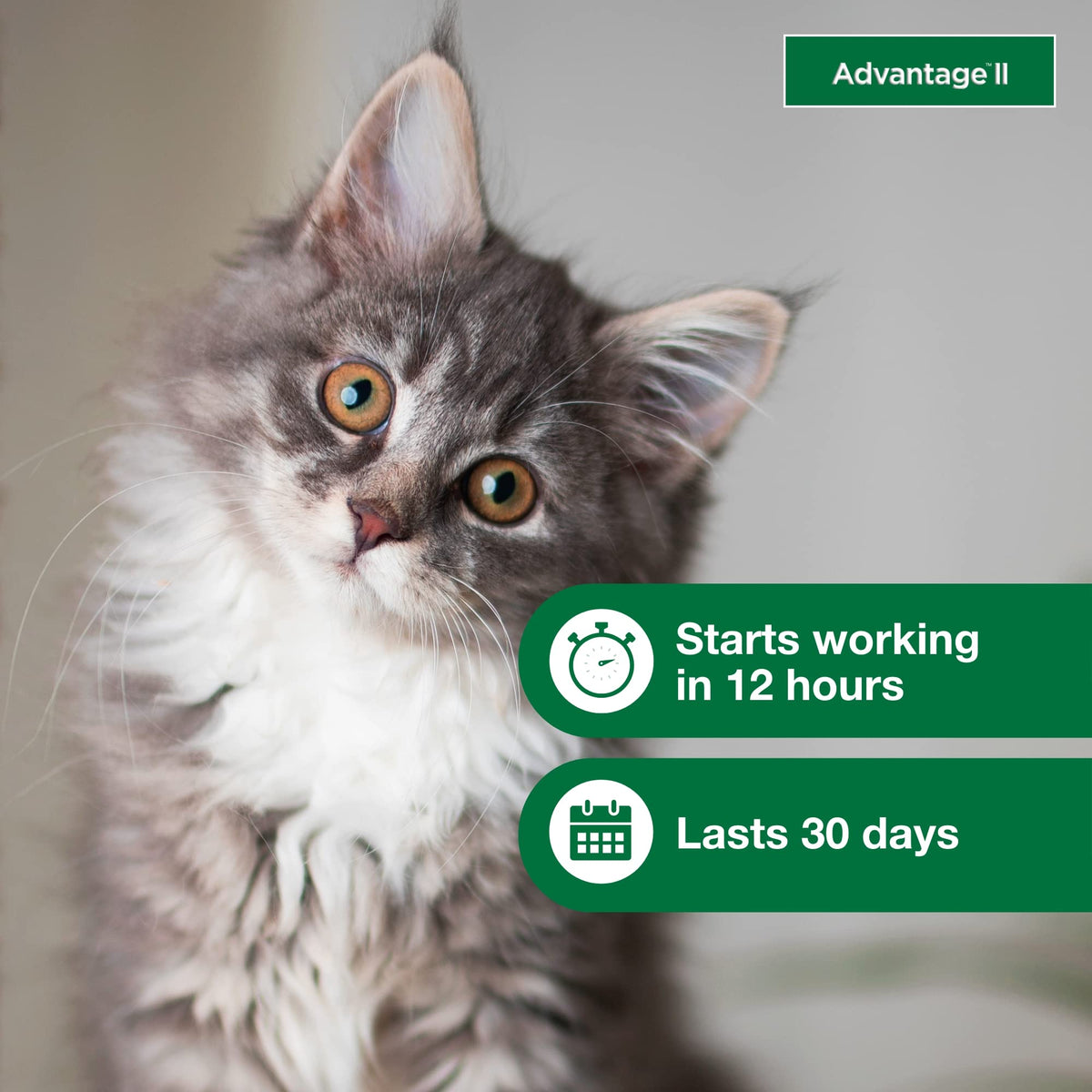 Topical Flea Treatment & Prevention 2ct A7292