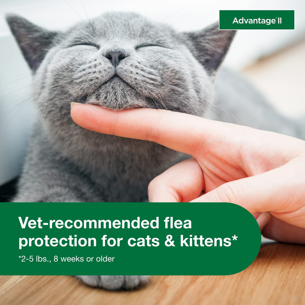 Topical Flea Treatment & Prevention 2ct A7292