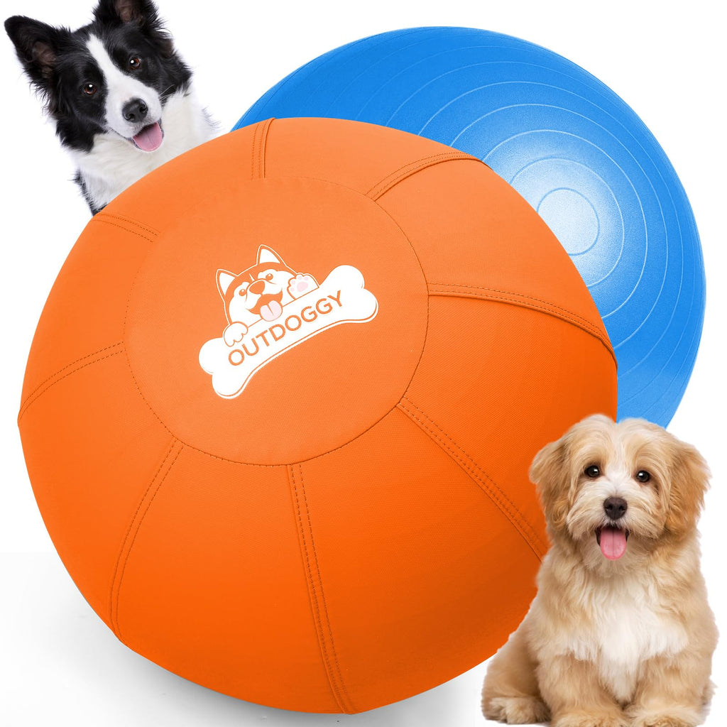 18'' Herding Ball for Dogs F39604