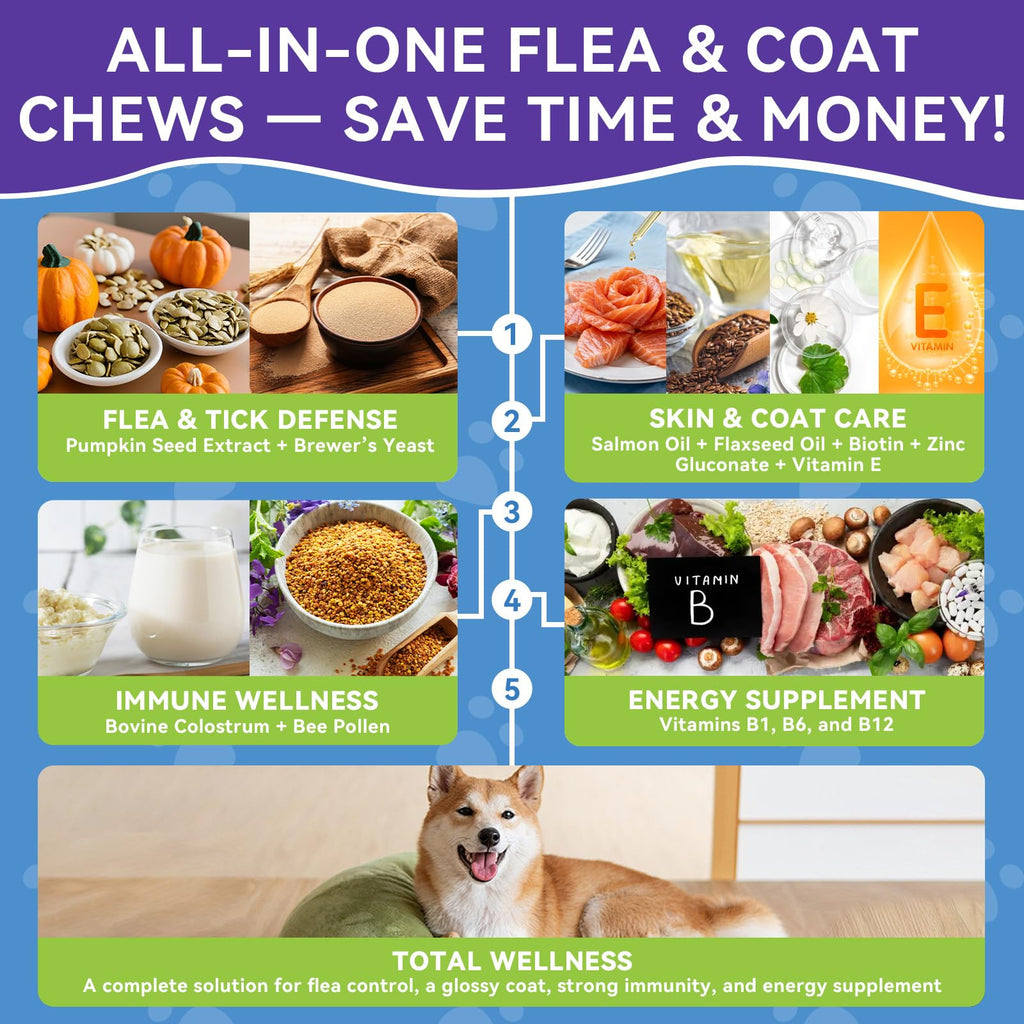 Flea and Tick Prevention for Dogs E1634