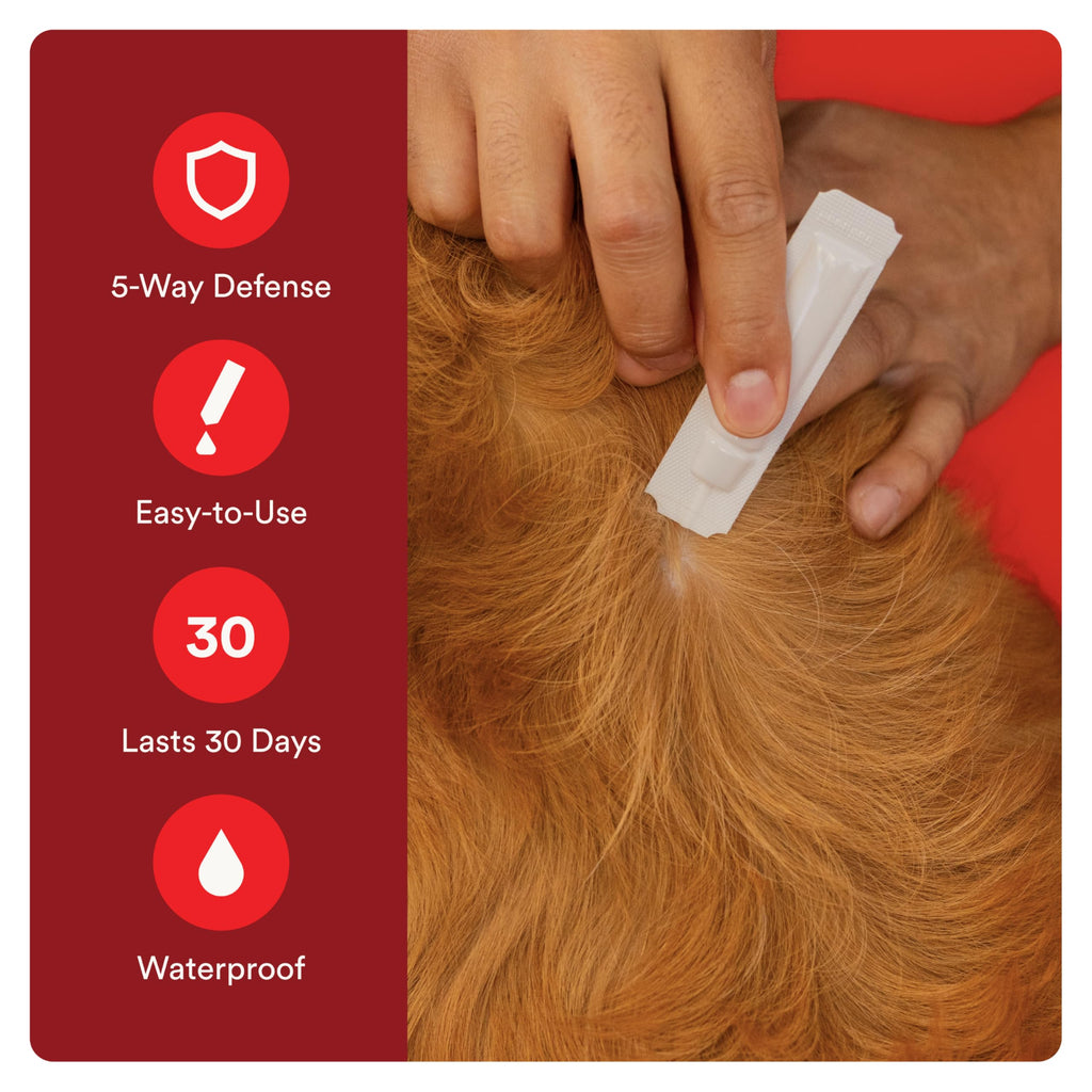 Flea and Tick Prevention for Small Dogs 4-10 lbs (4 Doses) + Flea Treatment for Dogs 2-25 lbs (6 Doses) Bundle Z28861