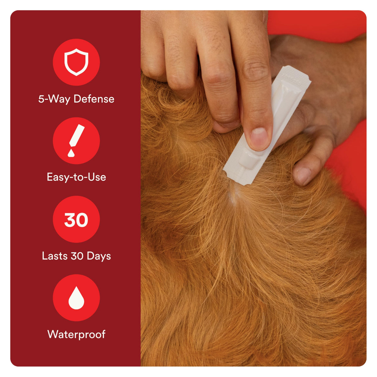 Flea and Tick Prevention for Small Dogs 4-10 lbs (4 Doses) + Flea Treatment for Dogs 2-25 lbs (6 Doses) Bundle Z28861