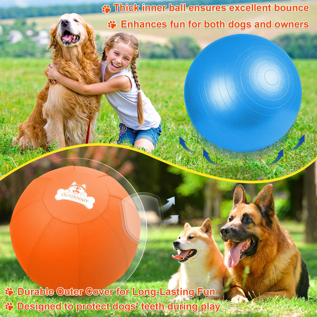 18'' Herding Ball for Dogs F39604