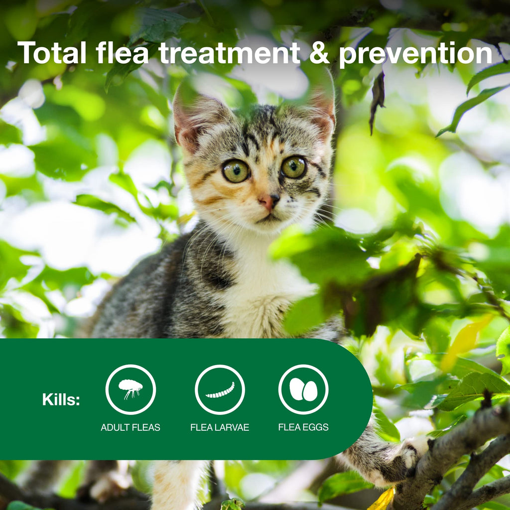Topical Flea Treatment & Prevention 2ct A7292