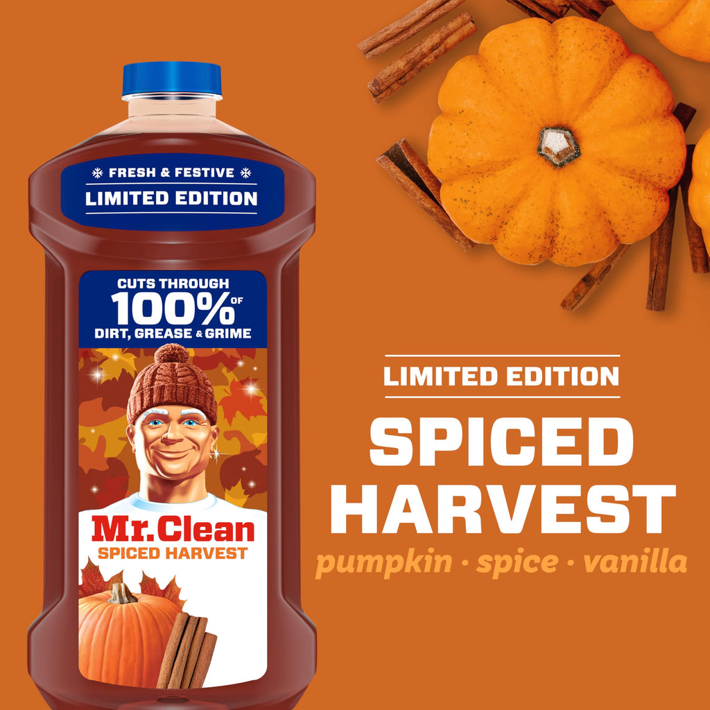 All Purpose Cleaner, Spiced Harvest, 41oz D3251