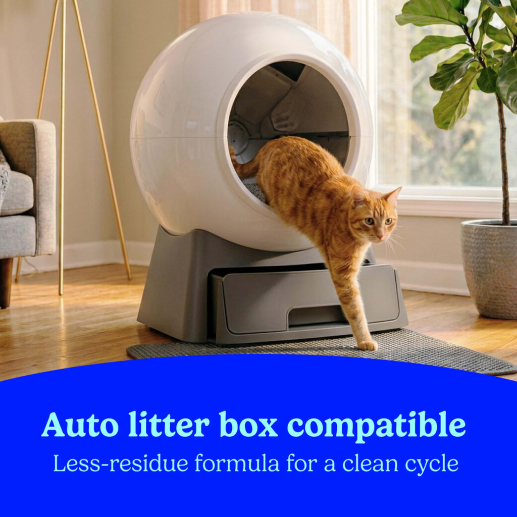 Clumping Cat Litter Multi-Cat Odor Control 14 lbs Pack of 2 K762