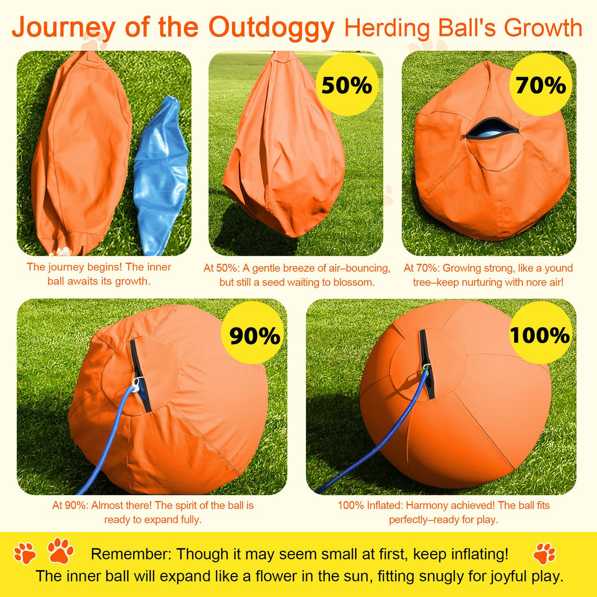 18'' Herding Ball for Dogs F39604