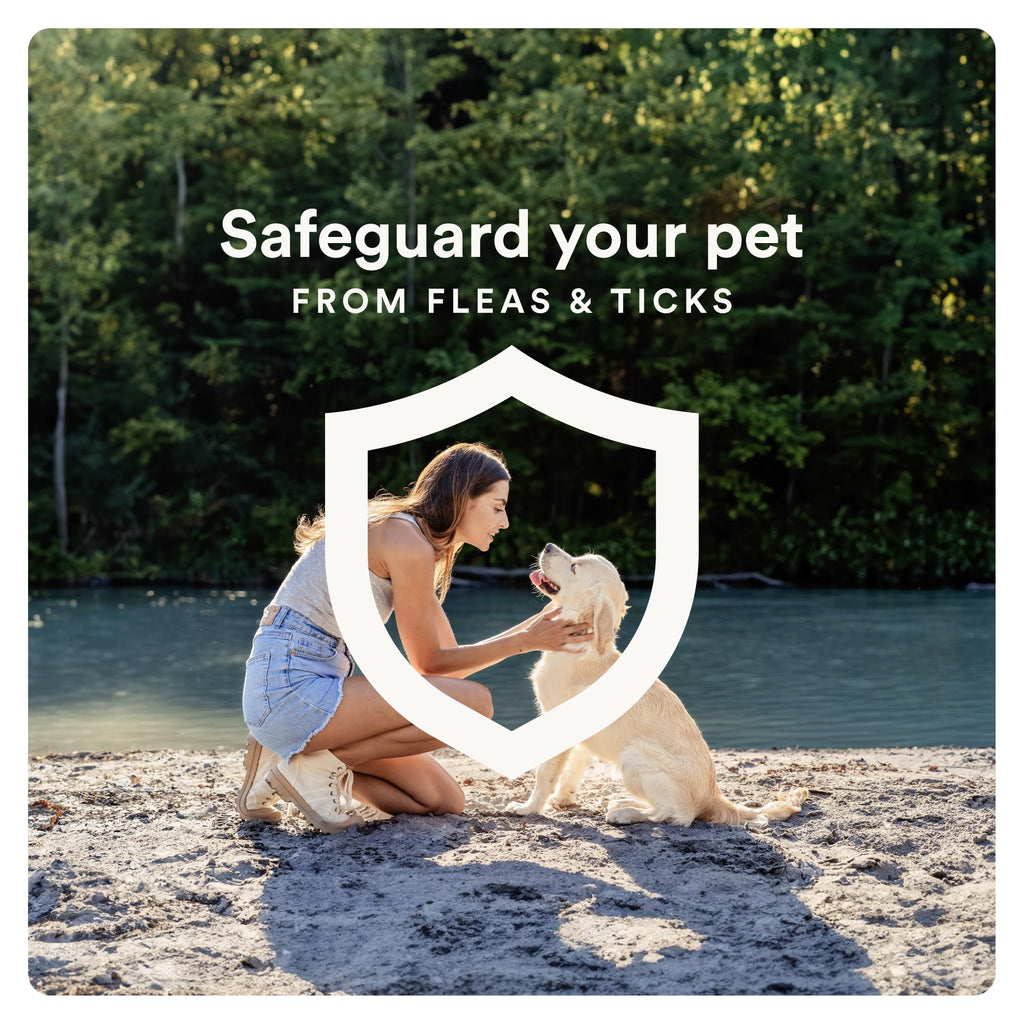 Flea and Tick Prevention for Small Dogs 4-10 lbs (4 Doses) + Flea Treatment for Dogs 2-25 lbs (6 Doses) Bundle Z28861