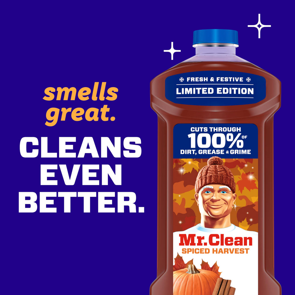All Purpose Cleaner, Spiced Harvest, 41oz D3251