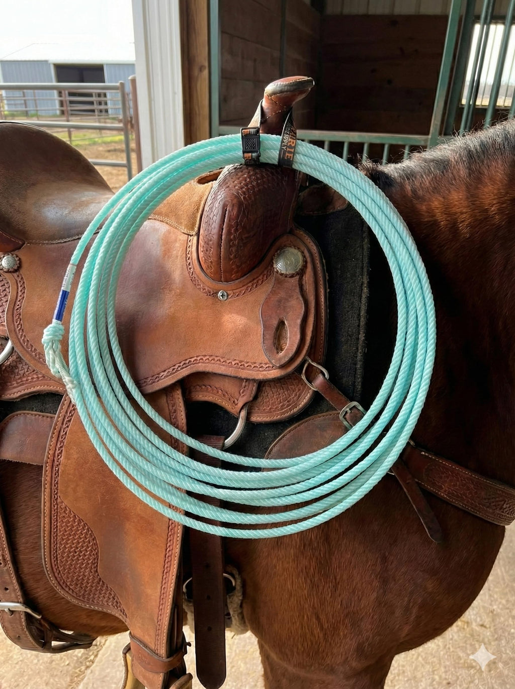Elastic Nylon Rope Holder Strap for Saddle Z192194