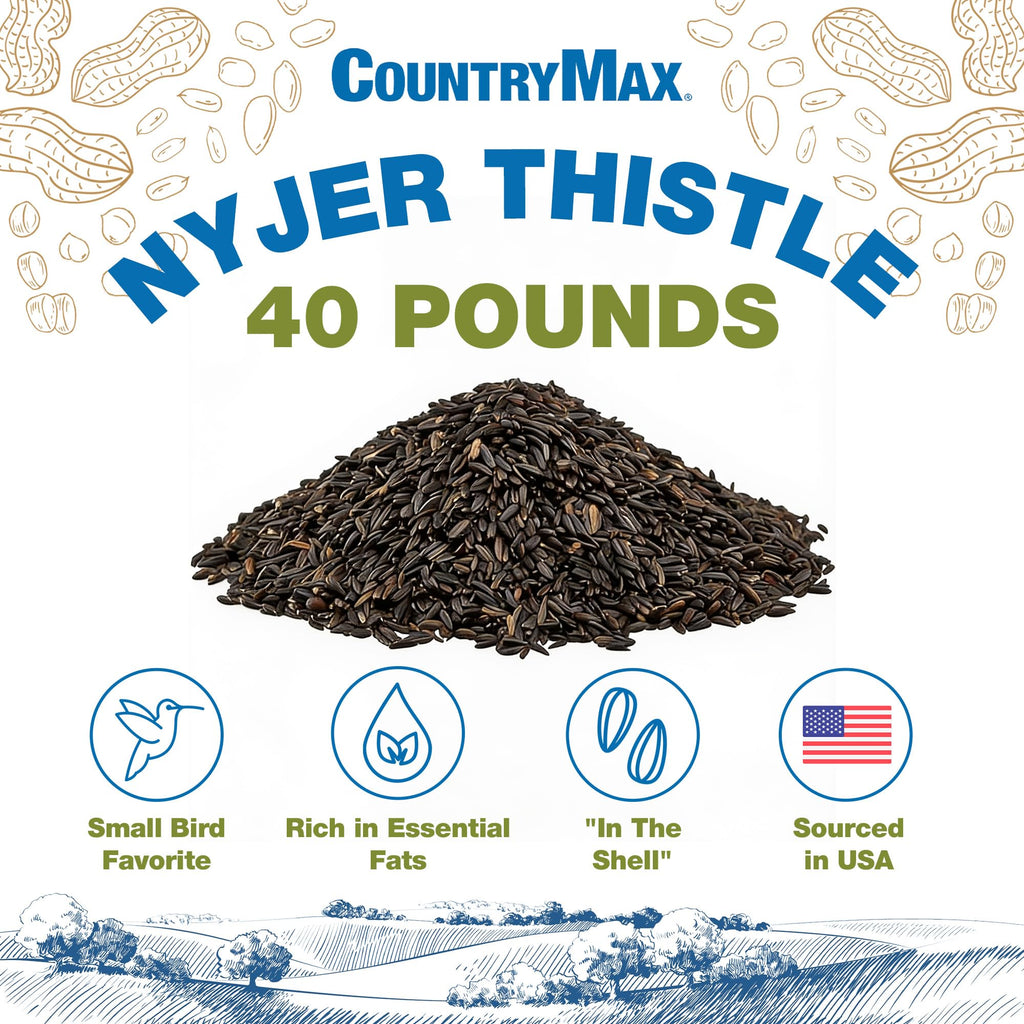 Thistle Wild Bird Seed M620170