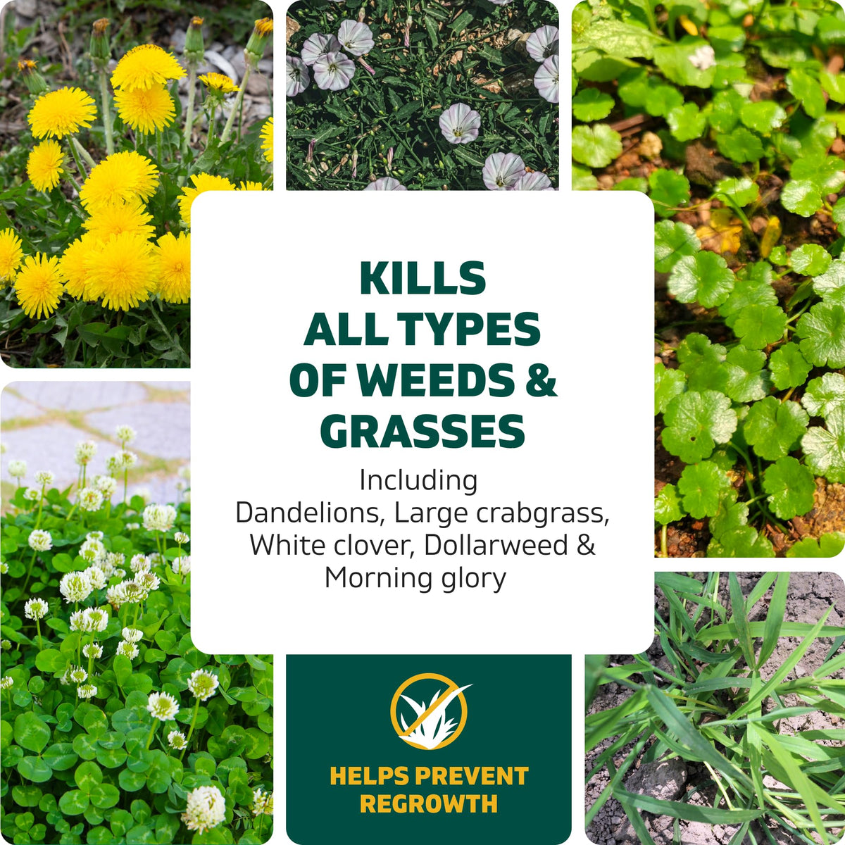 Weed & Grass Killer Kit, 64 Oz K42206